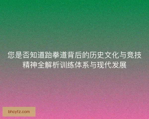 您是否知道跆拳道背后的历史文化与竞技精神全解析训练体系与现代发展